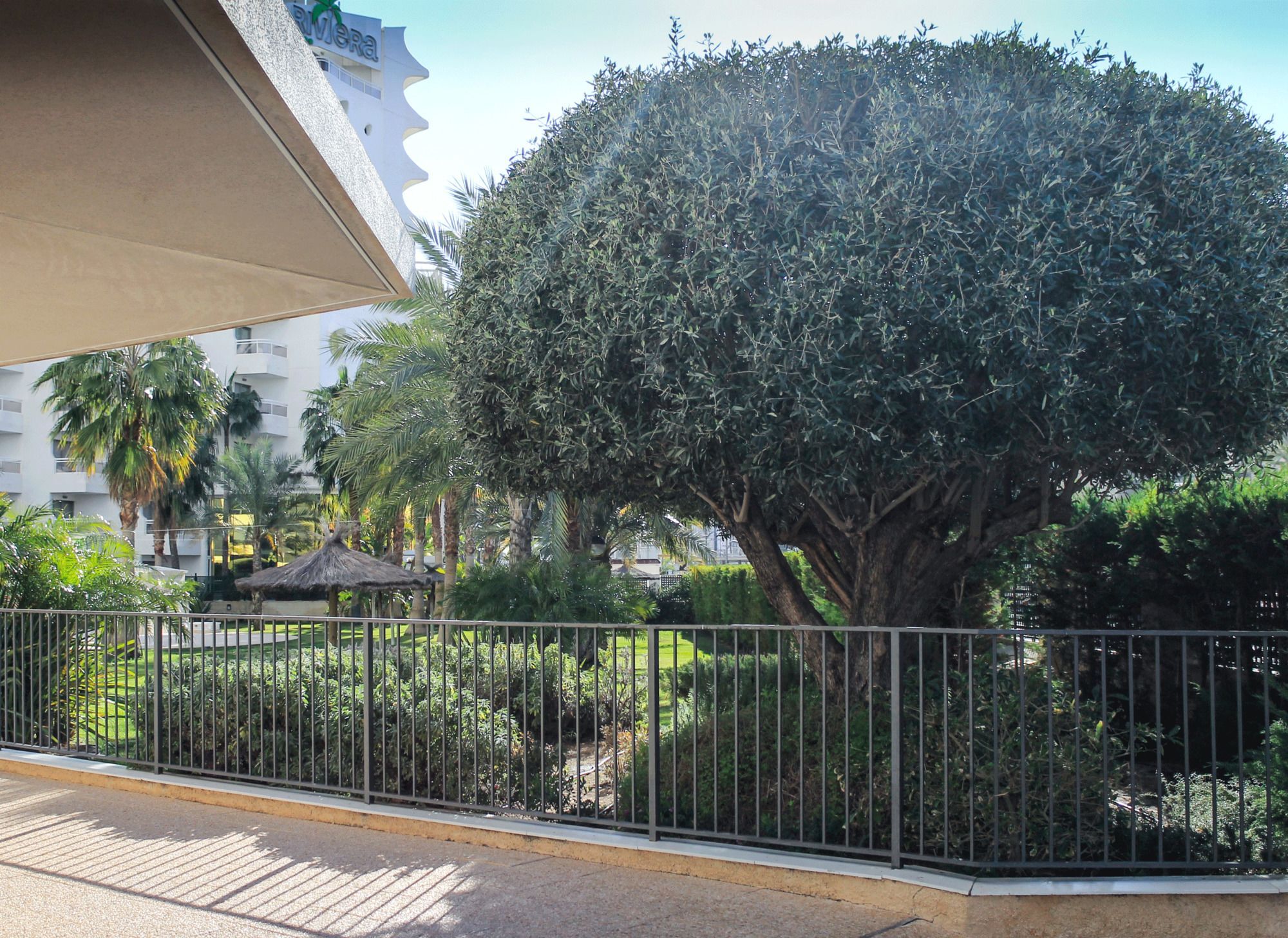Apartamento Gema Gemelos 26